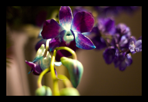 If you can't see the photos, click DISPLAY IMAGES.