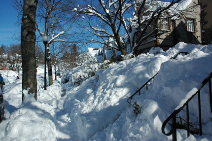 If you can't see the photos, click DISPLAY IMAGES.