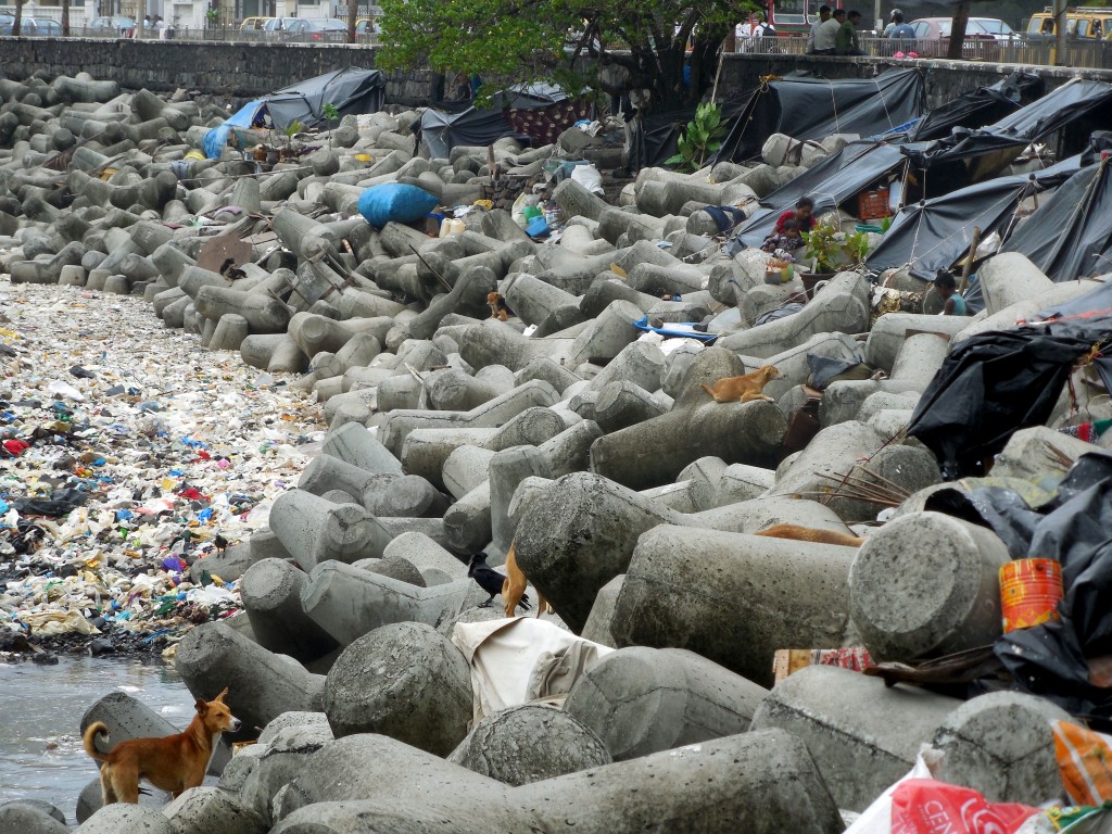 garbagebeach1