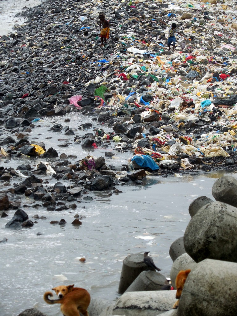 garbagebeach2