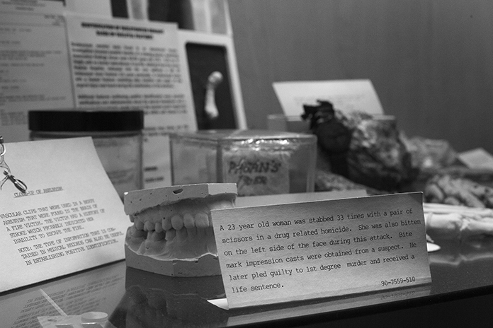 Evidence, Maryland’s Office of the Chief Medical Examiner, detail 2, Photograph by Kristine Thompson