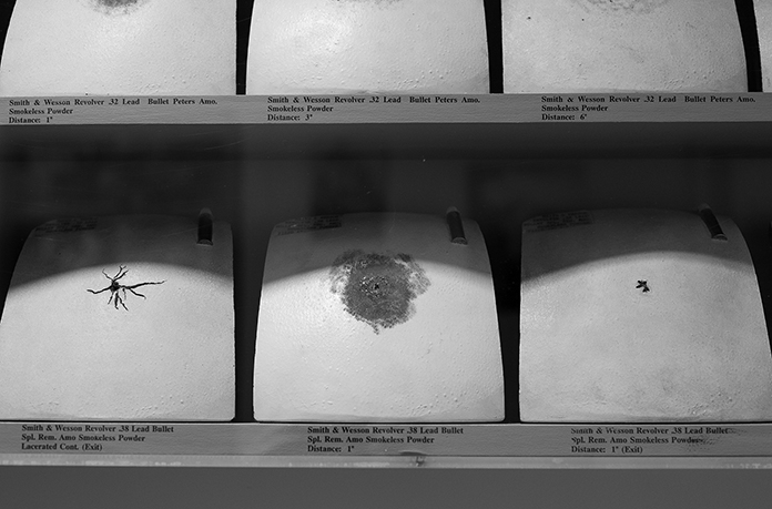 Frances Glessner Lee, Ceramic Chest Plates, detail 2, Photograph by Kristine Thompson