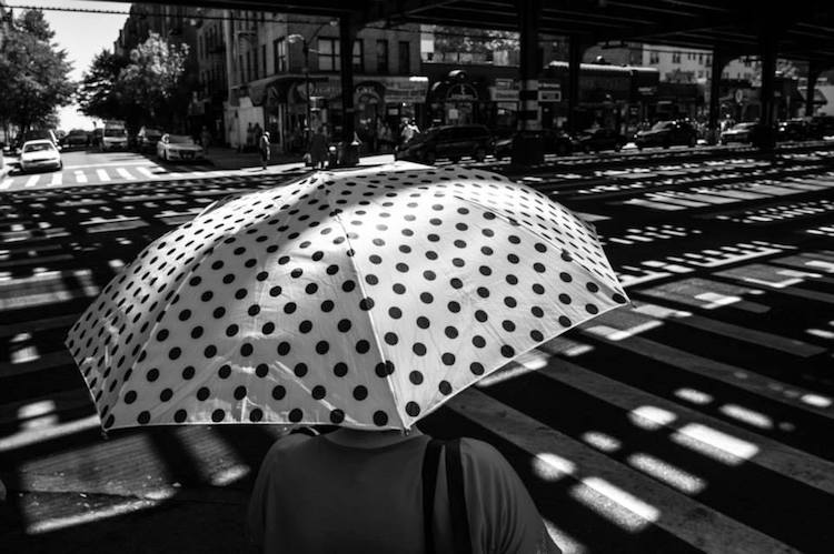 11156116_760593064061451_1947868574403346088_n