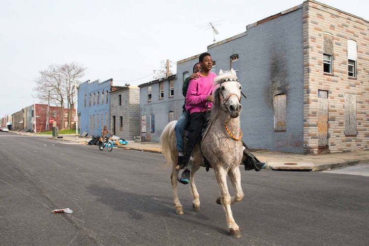 1926288_760598247394266_9089229313617849781_o